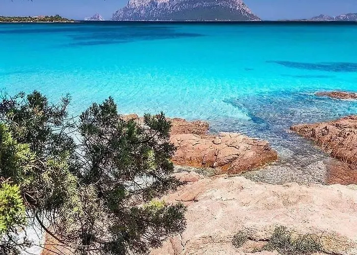 Casa Jolanda Tatil Evi *