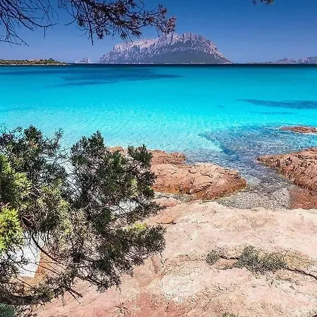 Casa Jolanda Prázdninový dům *